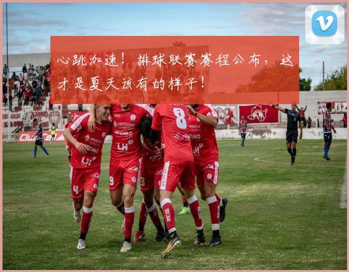 心跳加速！排球联赛赛程公布，这才是夏天该有的样子！