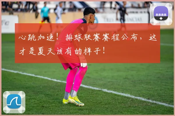 心跳加速！排球联赛赛程公布，这才是夏天该有的样子！