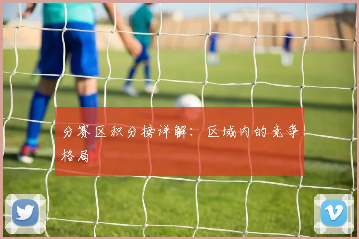 分赛区积分榜详解：区域内的竞争格局