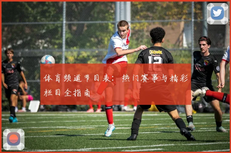 体育频道节目表:热门赛事与精彩栏目全指南