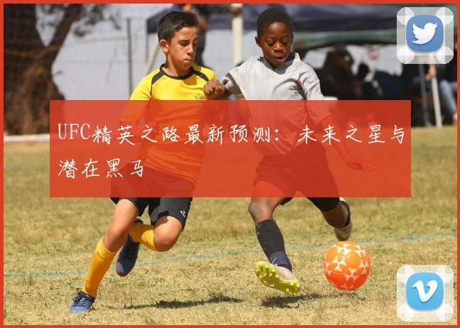 UFC精英之路最新预测：未来之星与潜在黑马