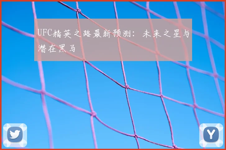 UFC精英之路最新预测:未来之星与潜在黑马