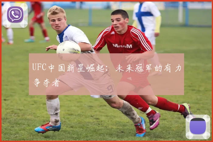 UFC中国新星崛起：未来冠军的有力争夺者